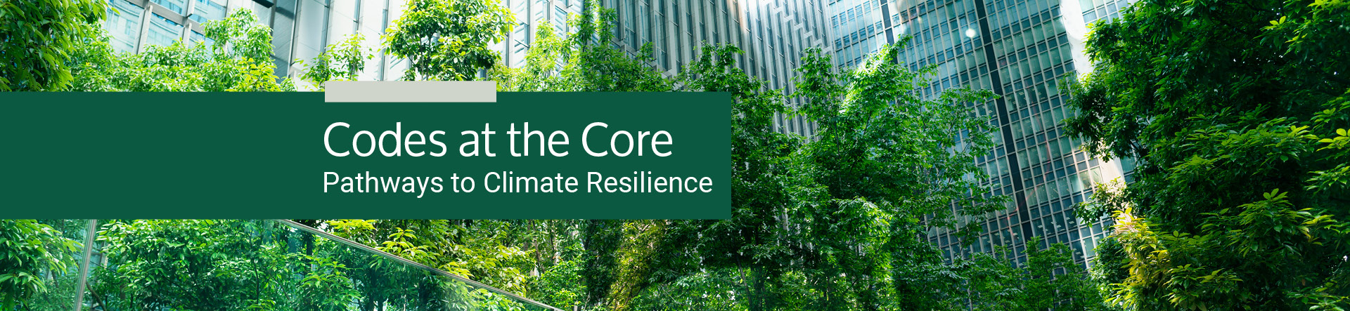 COP28 – Codes at the Core